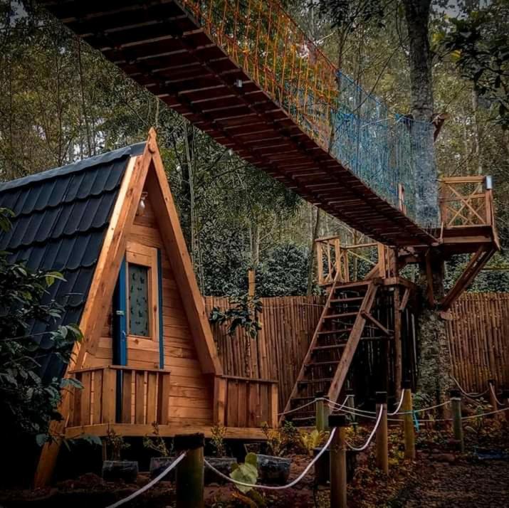 Lodge Segitiga 2